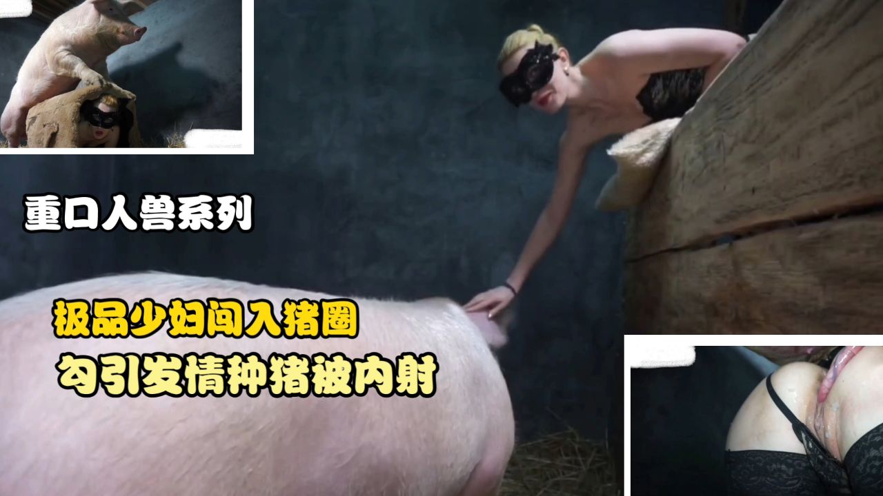 【重口人兽系列】极品少妇闯入猪圈勾引发情种猪被内射