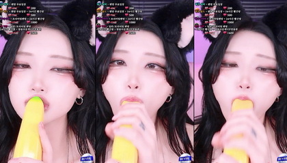 KBJ-25011847 kbj25011847_twingo1125_20241127 - Twingo1125