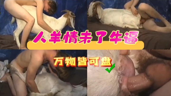 人养情未了,牛逼