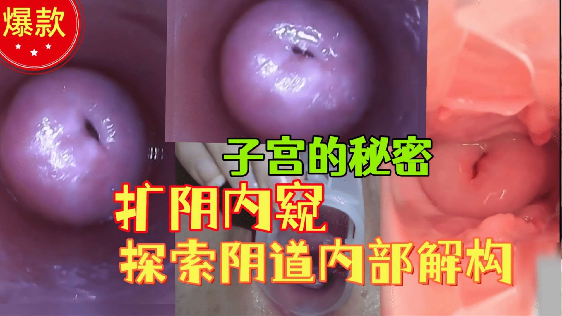 【扩阴内窥子宫】把摄像头插入阴道观察子宫 解构,从内部探索女性生殖器解构,独家